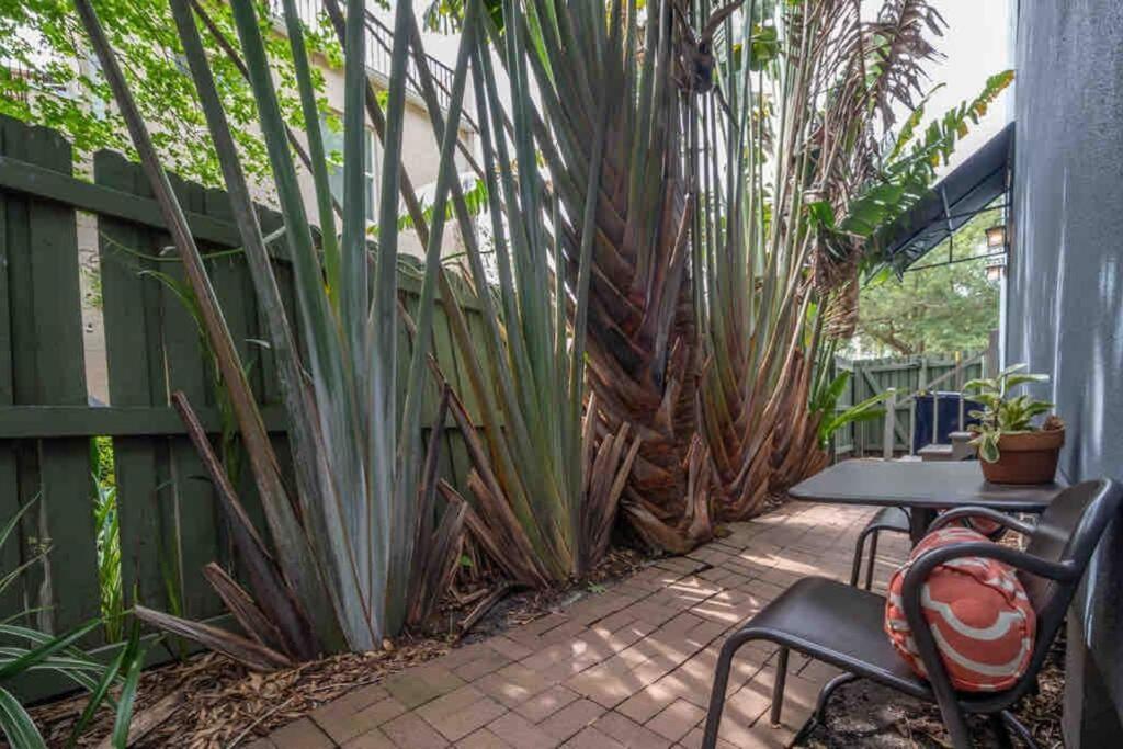 Nawlins Vibe With Rooftop Verandah Near Riverwalk And Downtown Tampa Exterior foto